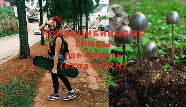 мяу мяу кристалл Карпинск